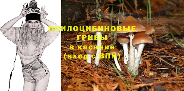 не бодяженный Армянск