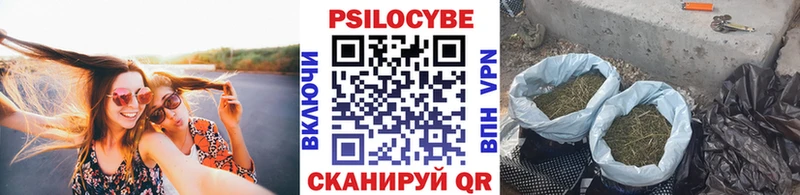 Галлюциногенные грибы Psilocybe  даркнет сайт  Няндома 